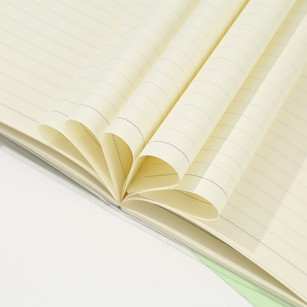 Agendă Glitter 10/set, Copertă Lucioasă, Dictando 16x9.5cm, Diferite Modele Engros