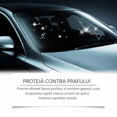 Perie Multifunctionala Curatare Parbriz Auto cu Solutie si Burete 120ml, pentru Indeparat Pelicula de Ulei si Pete de Apa Engros