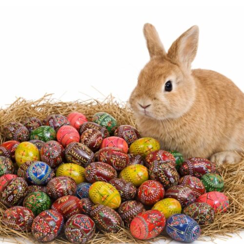 Ouă Decorative de Paște din Lemn 9x7cm, Modele Colorate Lucioase Pictate Engros